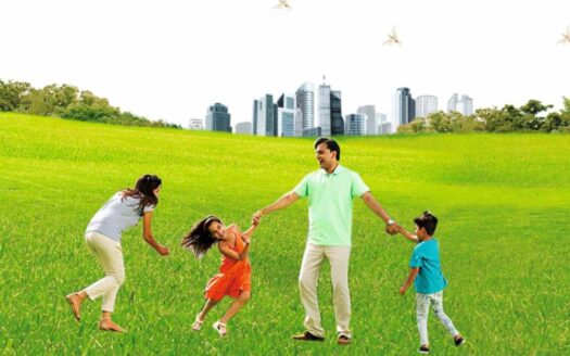 DDJAY Plots In Badsa Jhajjar | Deen Dayal Plots in Jhajjar