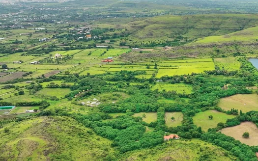 Shapoorji Pallonji Private Estates At Treetopia – Premium Estate Plots in Pune